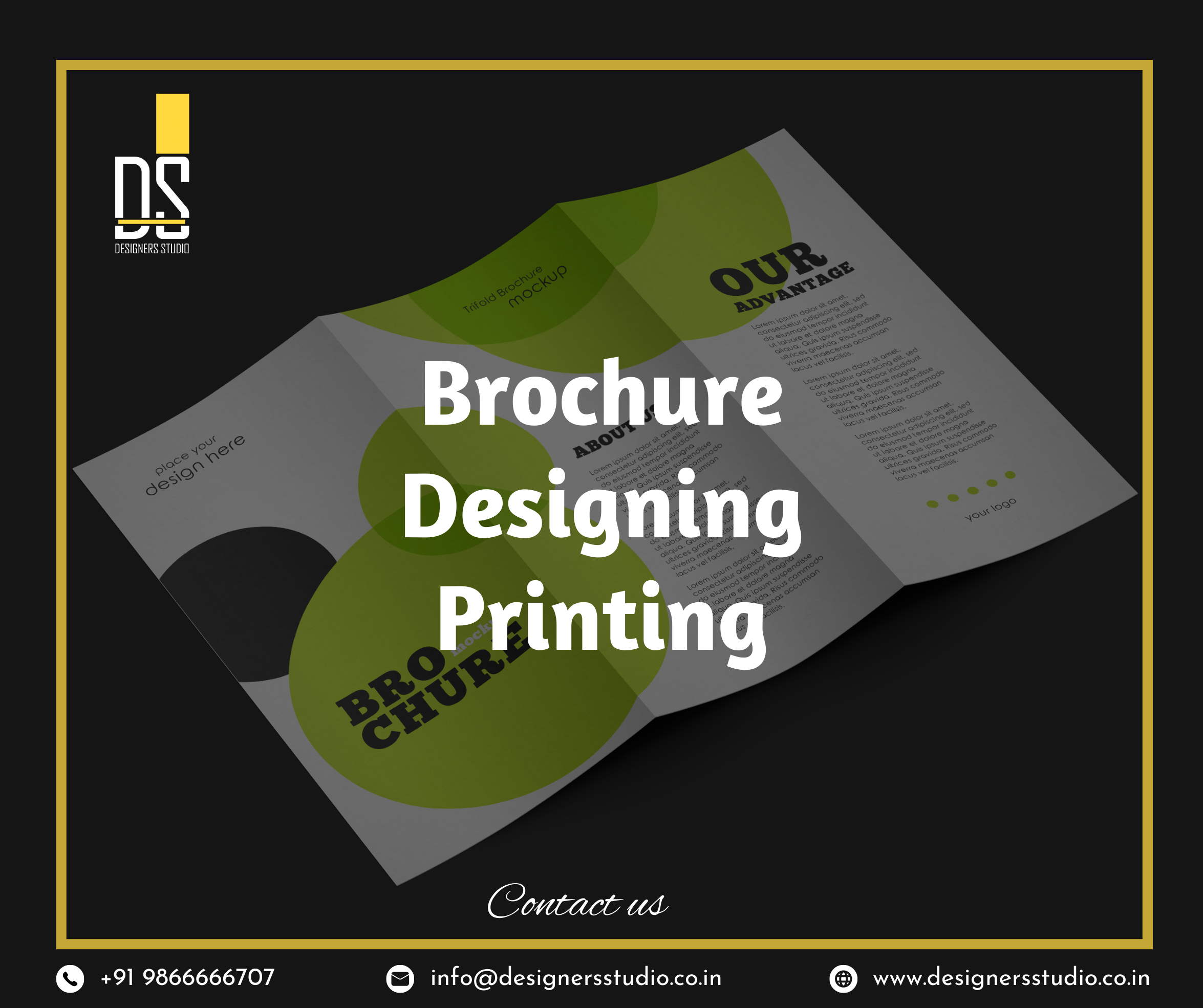 A set of diverse brochure design concepts.